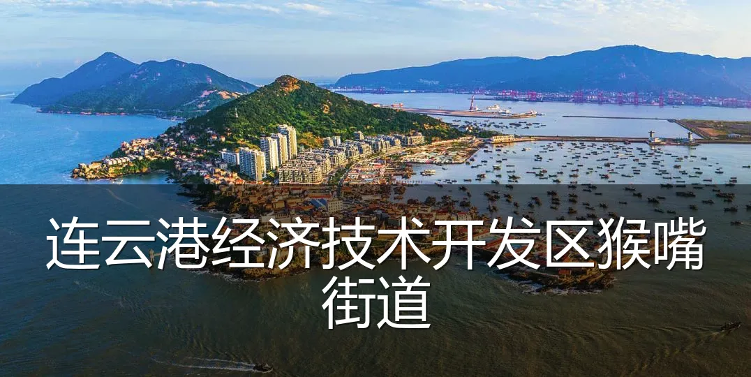连云港经济技术开发区猴嘴街道
